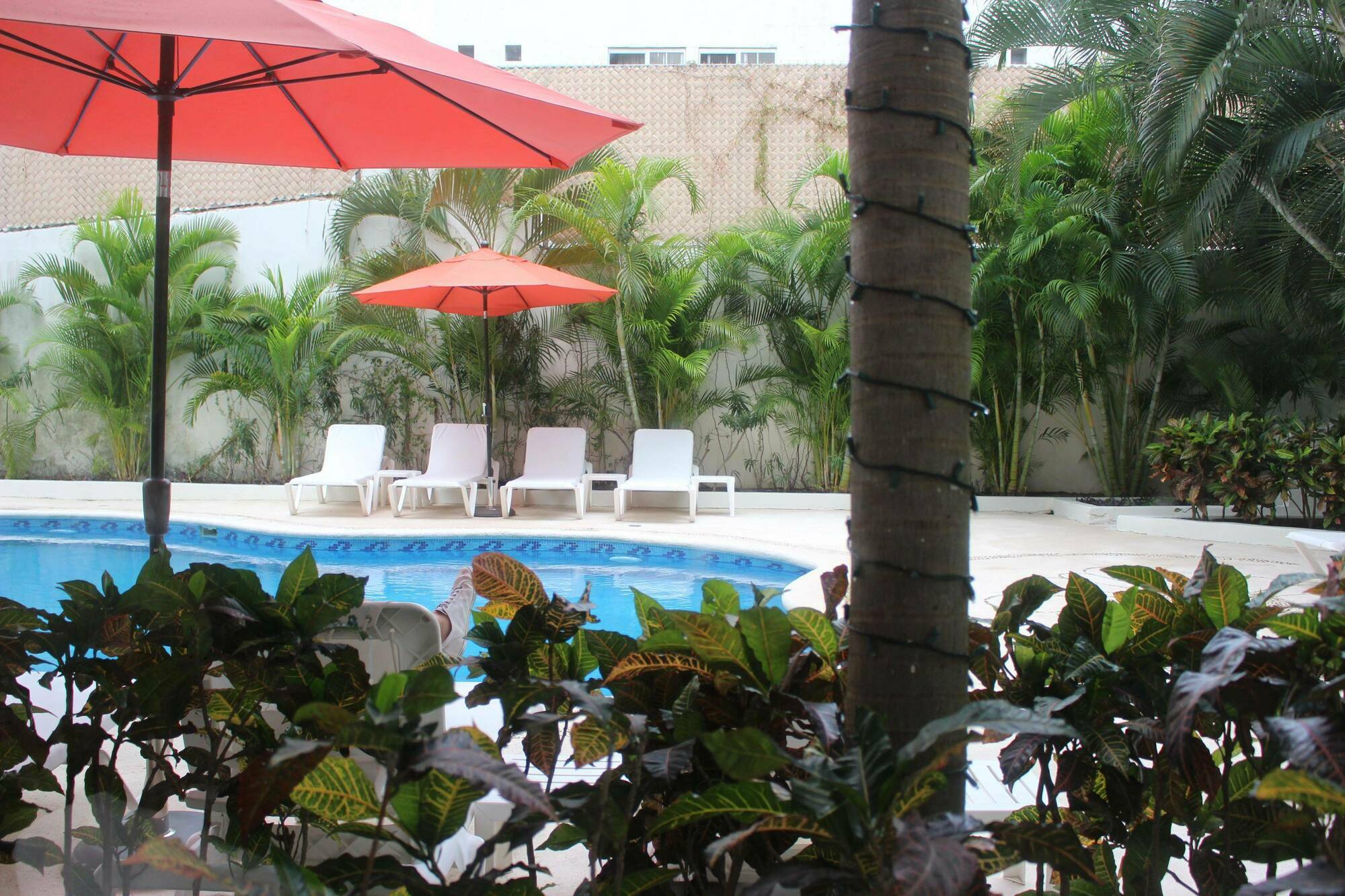 Adhara Express Hotell Cancún Exteriör bild